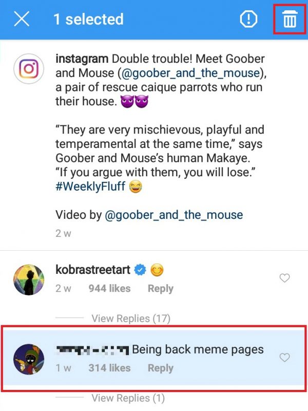 How to Report Posts on Instagram