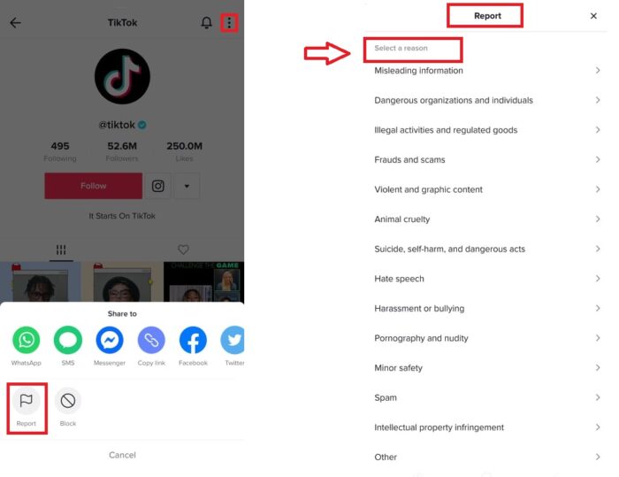 How to Enable TikTok Privacy and Safety Settings